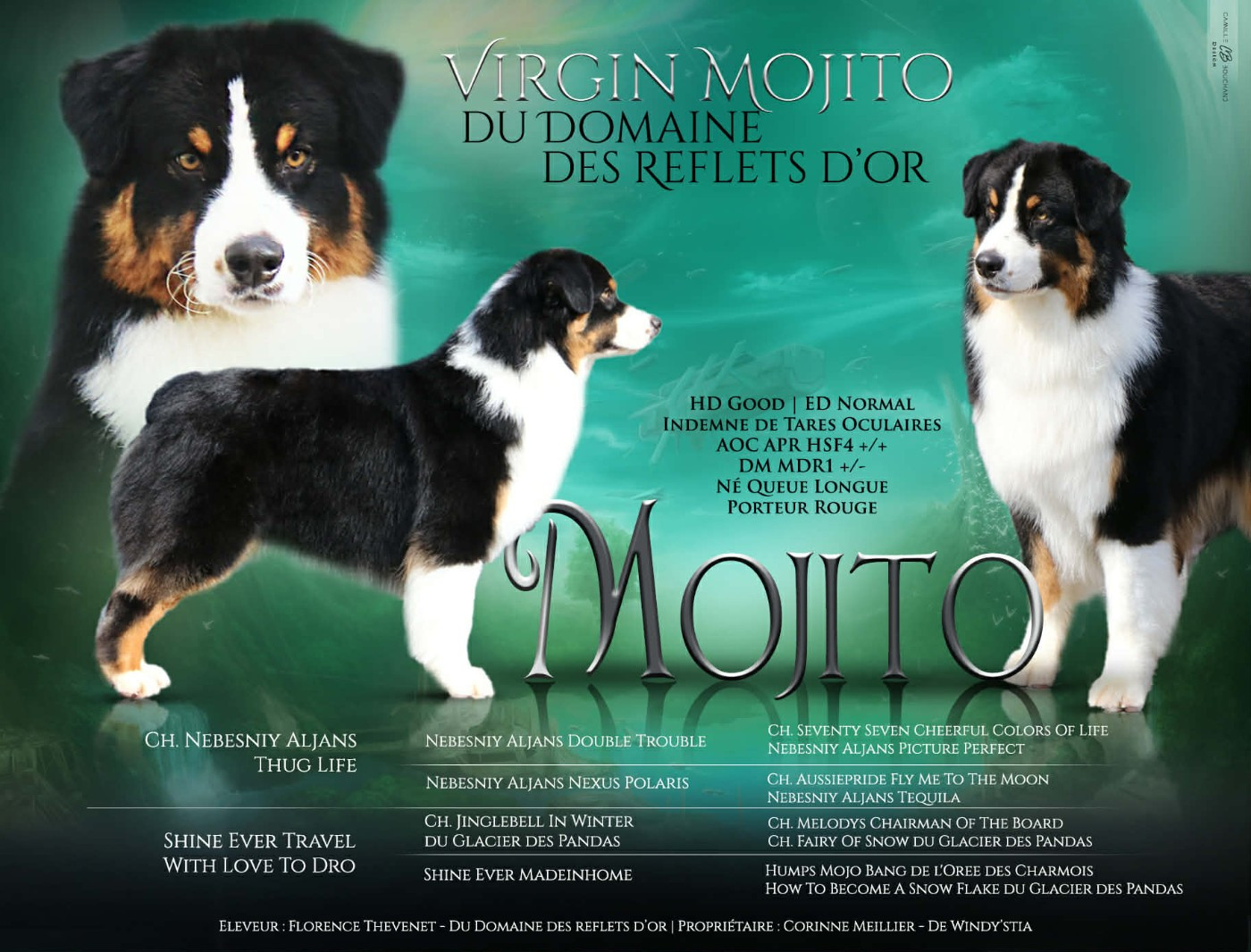Virgin Mojito Du Domaine Des Reflets D'or