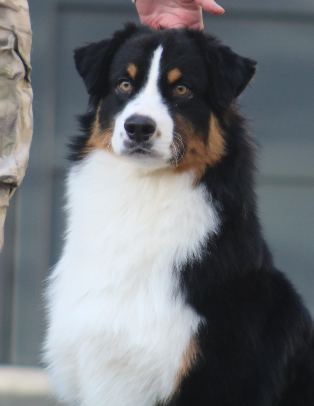 Nous sommes en plein recrutements pour les stages